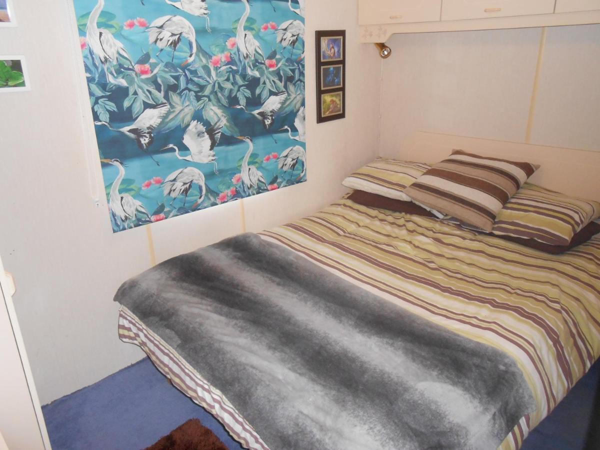 'The Cabin'. A Cosy Private & Secure Holiday Home. Padeswood Екстер'єр фото
